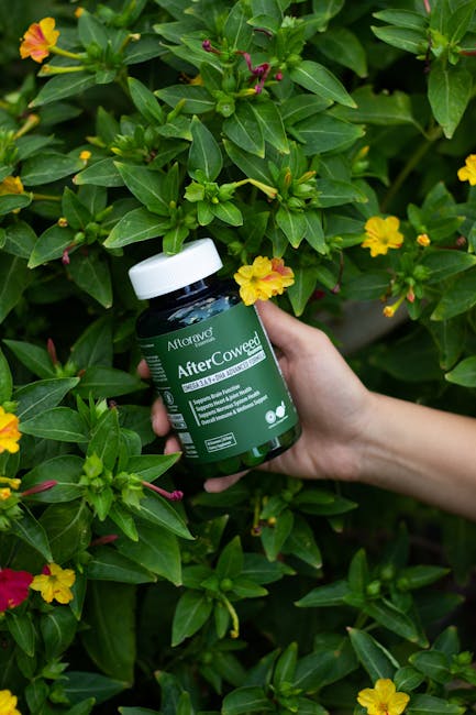 Understanding Natural Nitric Oxide Booster